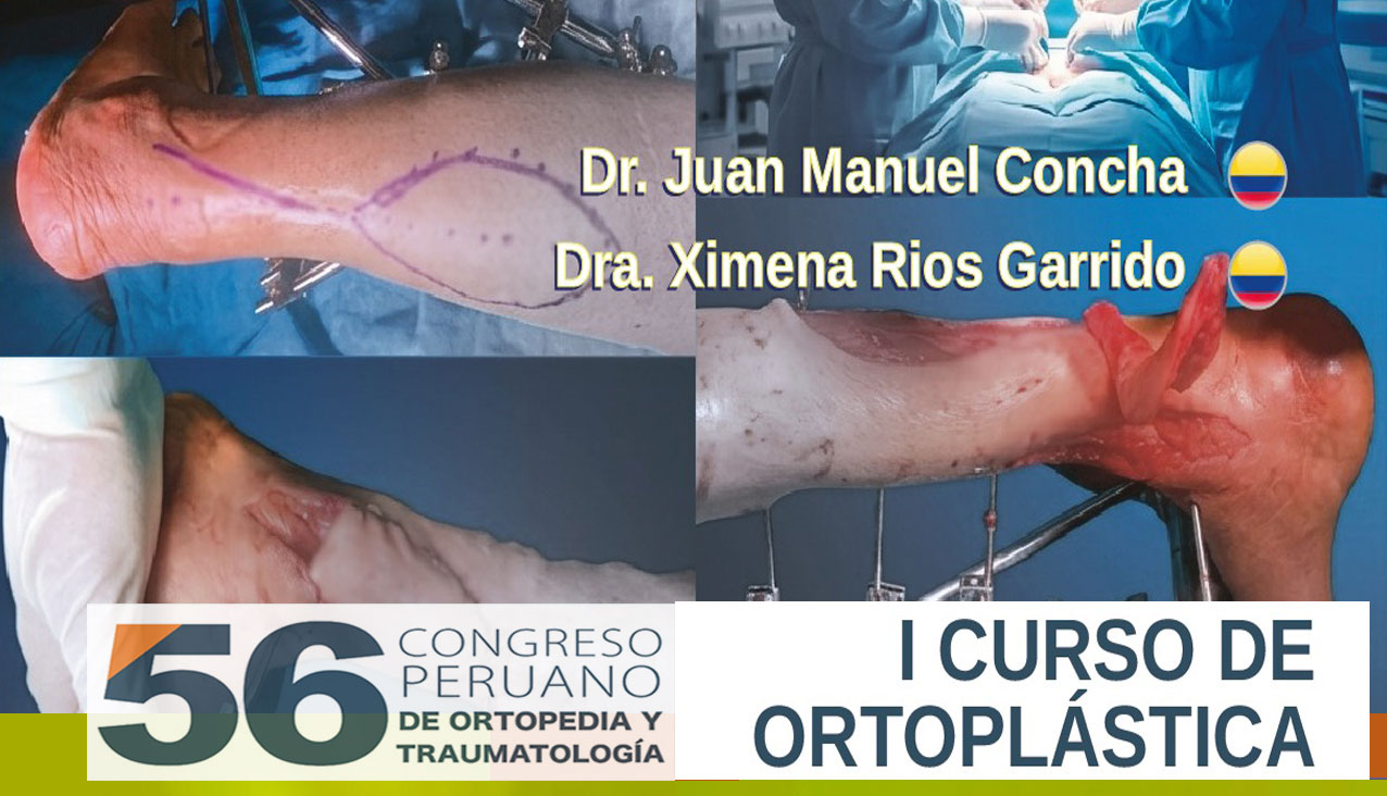 curso-ortoplastica.jpg